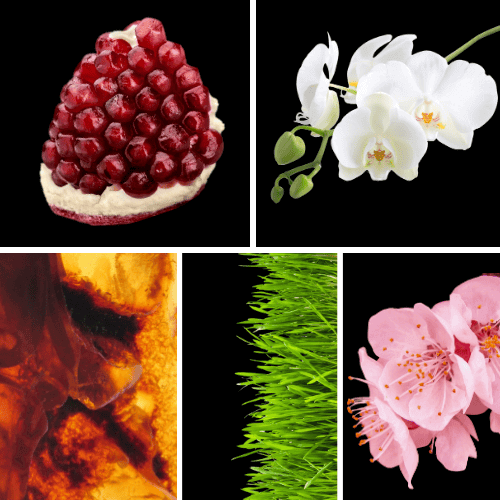 Duftnoten: Granatapfel, Orchidee, Amber, grüne Noten, Kirschblüte